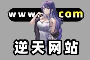 pixiv网址