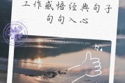 每日工作感悟一句话（工作心得一句话正能量）