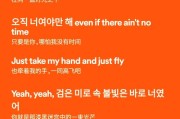 spotify什么意思（spotify中文翻译）