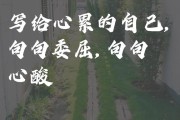 写给心累的自己的句子（写给心累崩溃的自己心情短语）