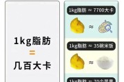 kg是公斤吗1kg是多少斤（1kg是不是一斤）