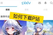 p站网址pixiv（pixiv官网如何进入）