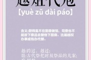 越俎代庖造句（越俎代庖打一最佳生肖）