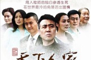 电视剧天下人家演员表（天下人家是哪年拍的）
