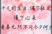 一个平淡而又简单的生活句子（简单平淡的句子）
