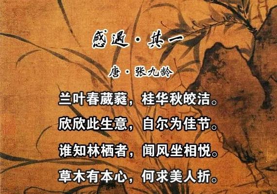 欣欣此生意自尔为佳节(卿有欣欣意,风华自佳节什么意思)