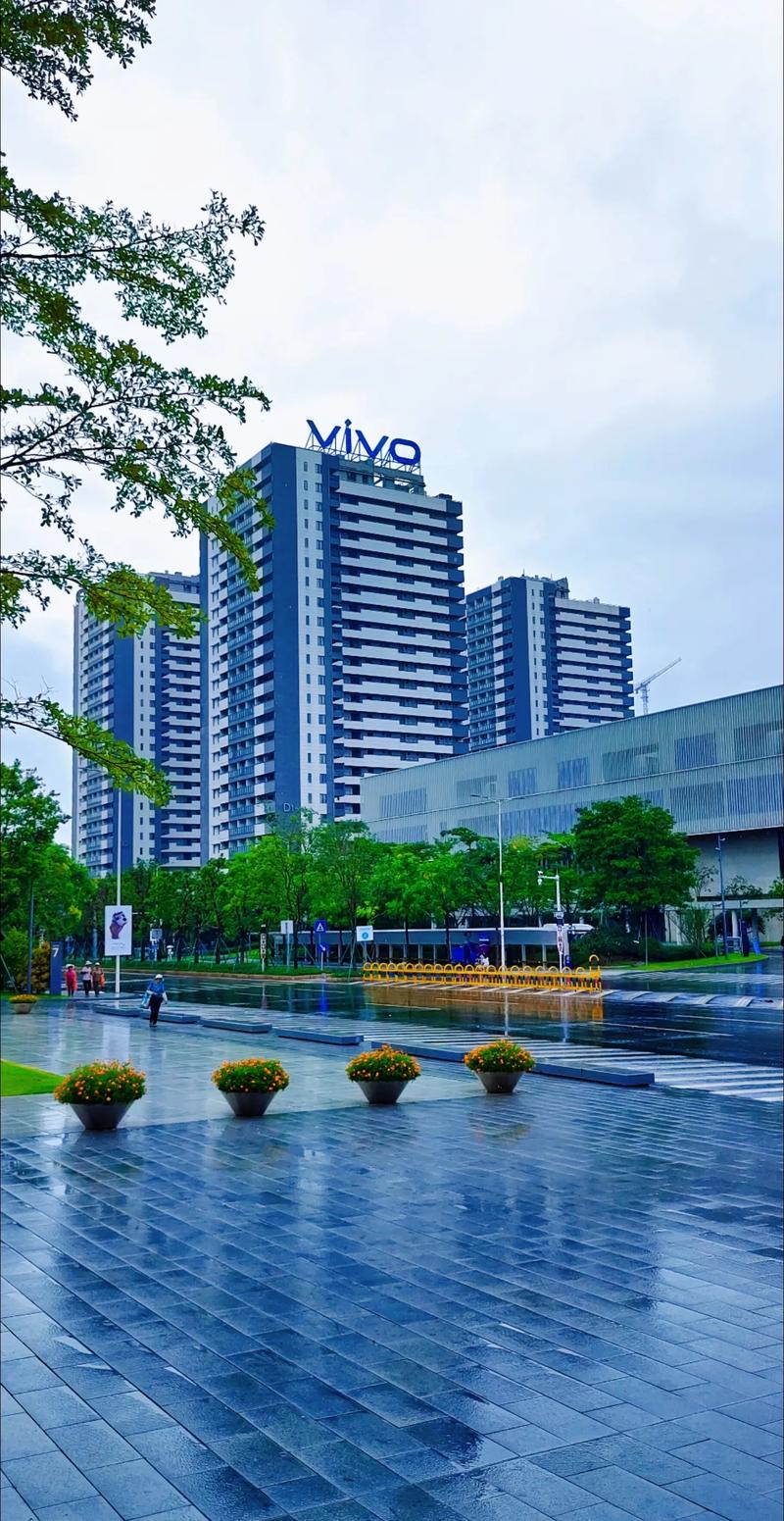 vivo公司全称叫什么（vivo公司是国企还是私企）
