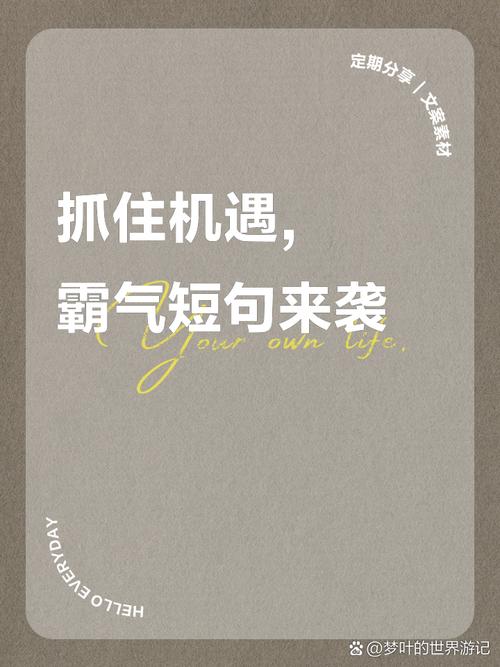 机遇的句子经典语句(抓住机会最精辟句子)
