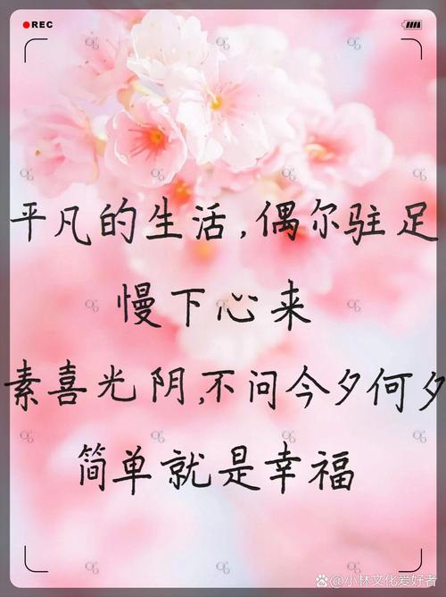 一个平淡而又简单的生活句子(简单平淡的句子)