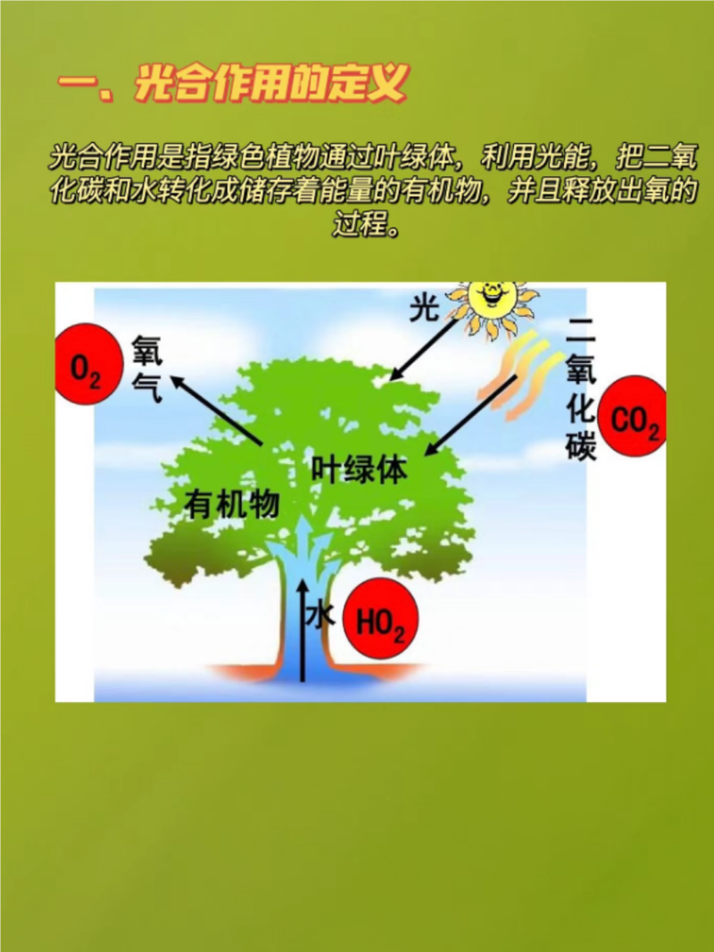 光合作用过程图解(光合作用图解详细)