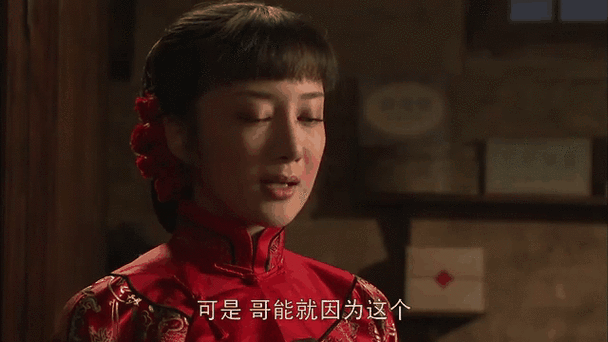 北方有佳人剧情介绍（庄稼院里的年轻人剧情分集介绍）