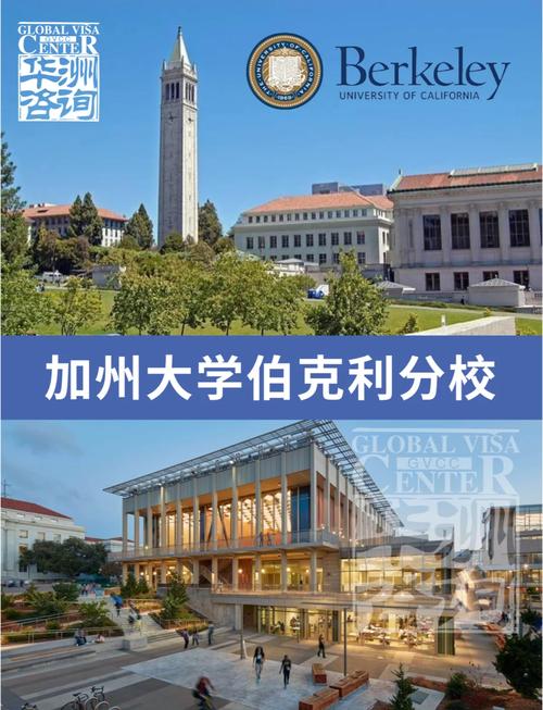 伯克利大学排名(uc伯克利qs排名)