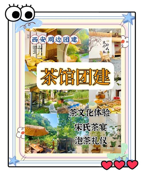 西安品茶联系方式（西安品茶全城安排）