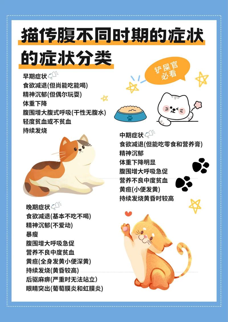 幼猫吃得太饱的症状（猫吃饱后的3种表现）