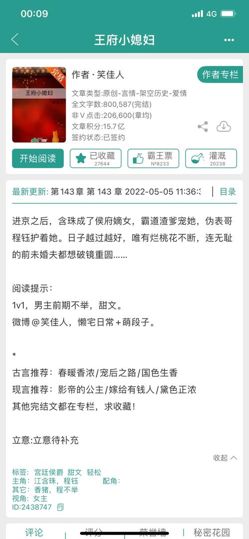 王府小媳妇 小说